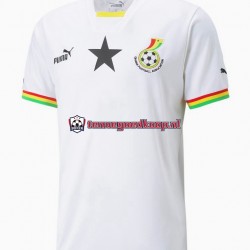 Thuis Tenue van Ghana Heren WK 2022 Korte Mouw