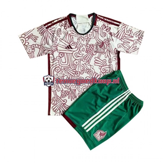 Uit Tenue van Mexico Kind 2-13 jaar WK 2022 Korte Mouw