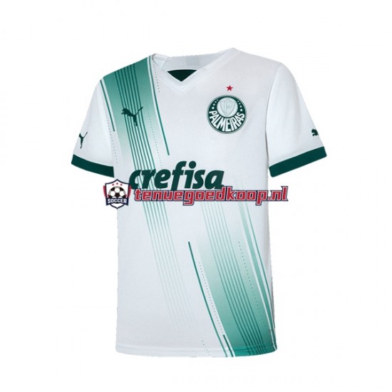 Uit Tenue van Palmeiras Heren 2023-24 Korte Mouw