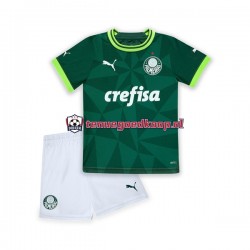 Thuis Tenue van Palmeiras Kind 2-13 jaar 2023-24 Korte Mouw