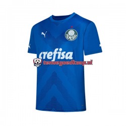 Thuis Tenue van Palmeiras Keepersshirt Heren 2023-24 Korte Mouw