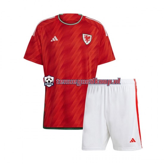 Thuis Tenue van Wales Kind 2-13 jaar WK 2022 Korte Mouw