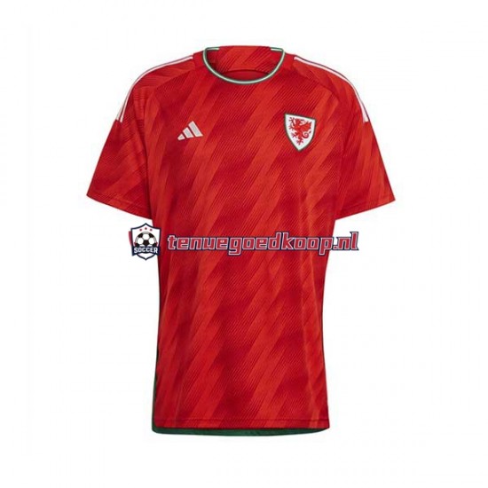 Thuis Tenue van Wales Heren WK 2022 Korte Mouw