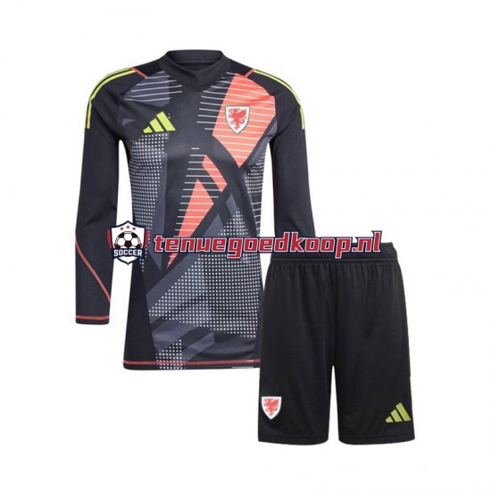 Thuis Tenue van Wales Keepersshirt Kind 2-13 jaar 2024 Lange Mouw Zwart